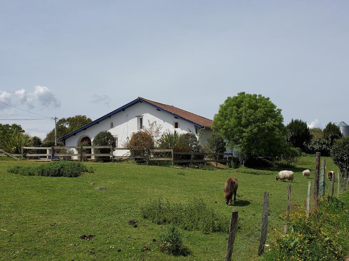 Family Home With Pool Saint-Lon-Les-Mines Экстерьер фото